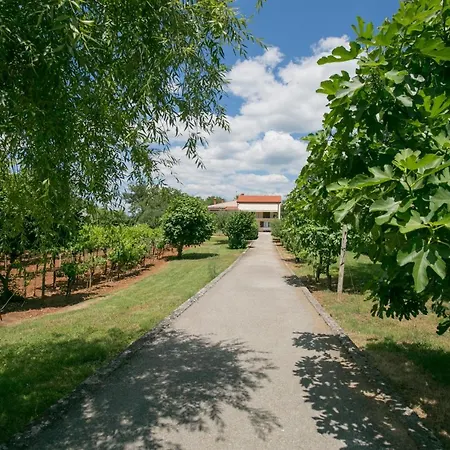 Apartamento Vito *